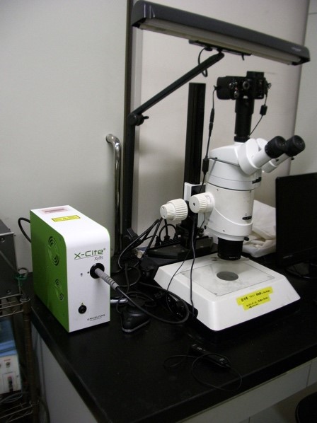 「研究・教育活動における省エネ」提案募集　－　理学研究院生物科学部門　小川宏人　教授