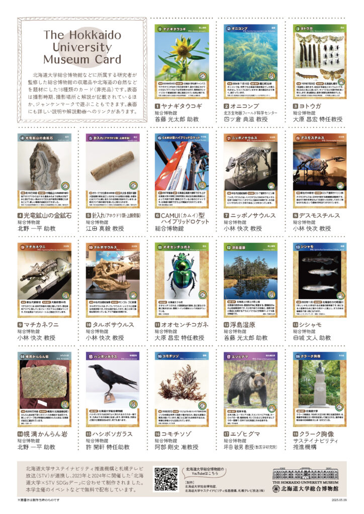 北海道大学総合博物館カードを制作